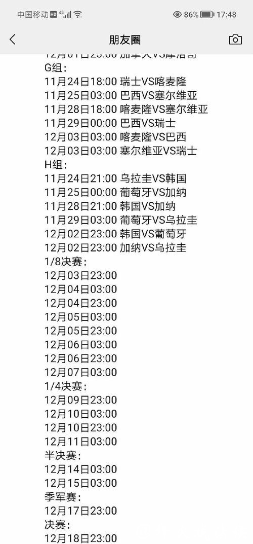 世界杯比赛记录全景解析